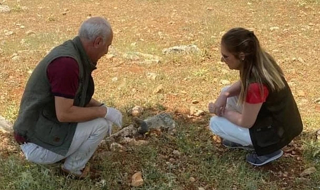Yakaladığı sincapları evde besleyen kişiye para cezası