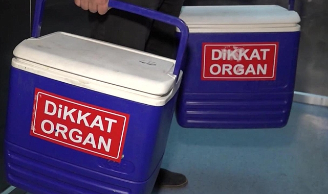 Beyin ölümü gerçekleşen hastanın organları 4 kişiye hayat verecek