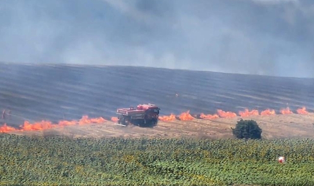Bursa'da ormanlık alandaki alevler rüzgarın etkisiyle büyüyor