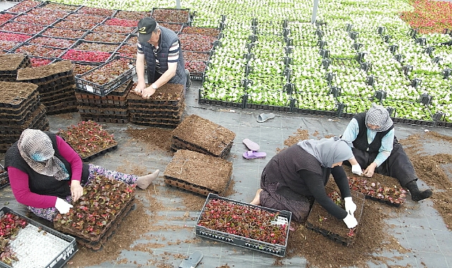 Çiftçi üretiyor, Bursa çiçek açıyor