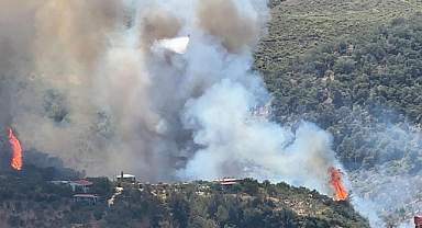 Hatay'da orman yangını:Alevler yerleşm bölgelerne sıçradı