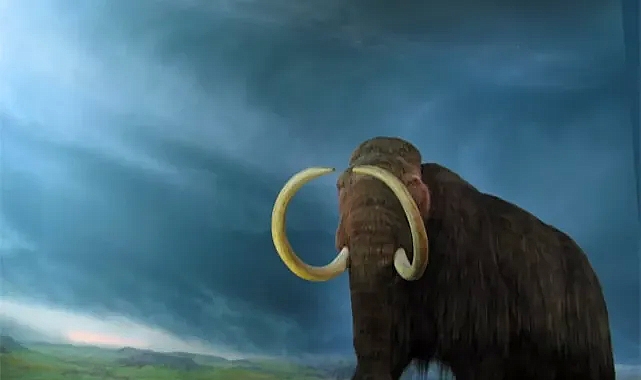 İngiltere'de 450 bin yıllık mamut fosili bulundu