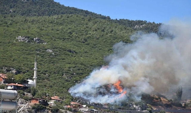 İzmir’de yerleşim yerlerine yakın bölgede orman yangını