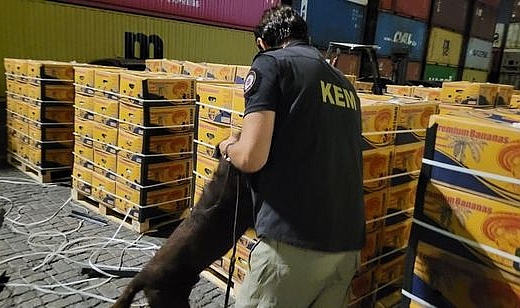 Mersin Limanı'nda muz yüklü konteynerde 11 kilo kokain ele geçirildi