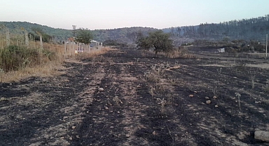 Milas’taki orman yangını kontrol altına alındı: Soğutma çalışmaları sabaha kadar sürecek