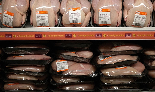 Paketli tavuklarda anlık zararlı bakteri tespiti yapan sensörlü kap üretildi