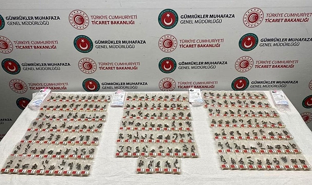 Sabiha Gökçen Havalimanı'nda karniyol cinsi 1240 canlı arı ele geçirildi