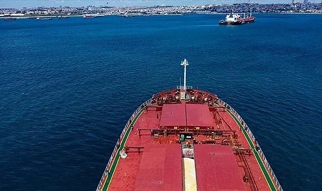 Tahıl Koridoru anlaşması durduruldu