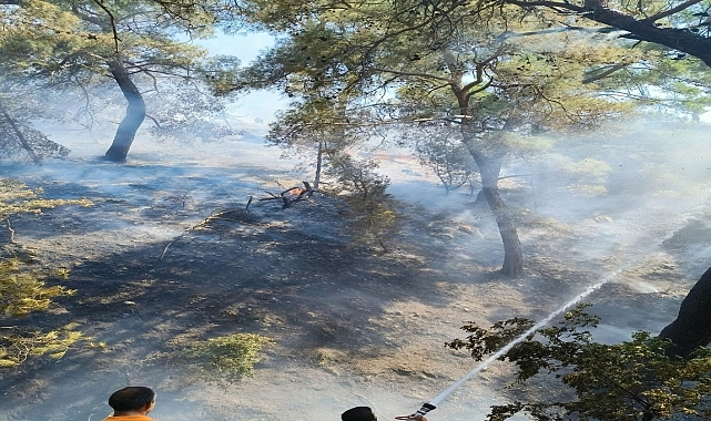 Balıkesir'in Burhaniye ilçesinde çıkan orman yangını kontrol altına alındı