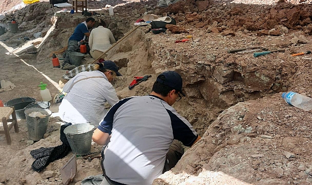Çankırı'da bu yıl 8,5 milyon yıllık 100 fosil bulundu