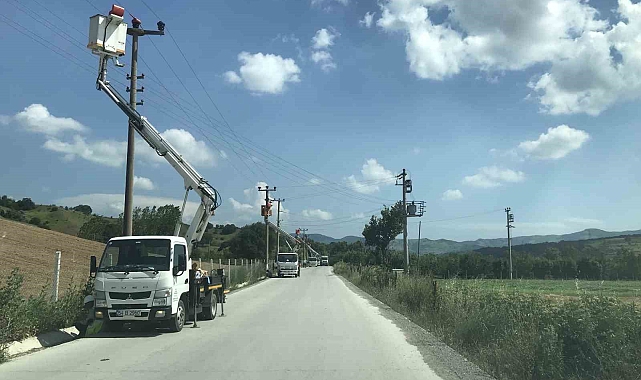 Elektrik direklerine konan leyleklerin akıma kapılmaması için seferber oldular