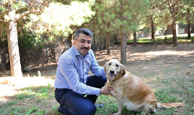 Yıldırım Belediyesi can dostların yanında