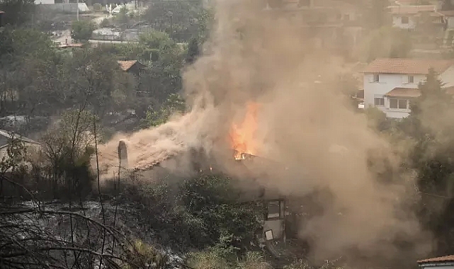 Yunanistan'da yangınların devam ettiği ormanda 18 kişinin cansız bedeni bulundu