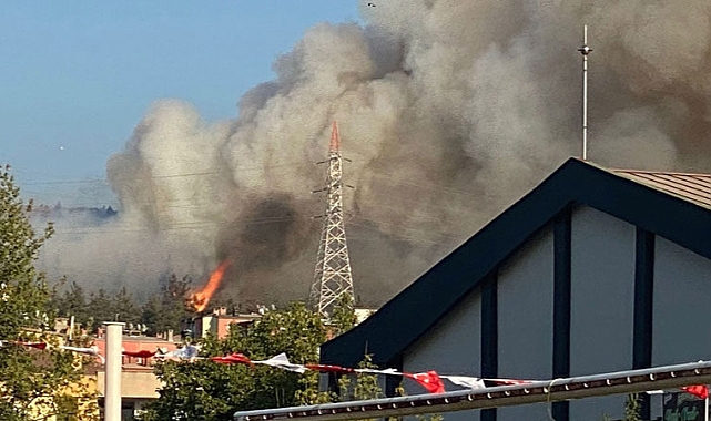 Bursa’da orman yangını
