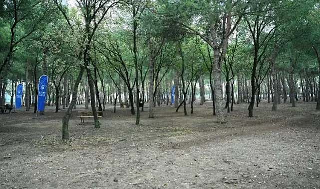 Bursa Demirtaş Kırantepe Çamlık Parkı bakıma alındı
