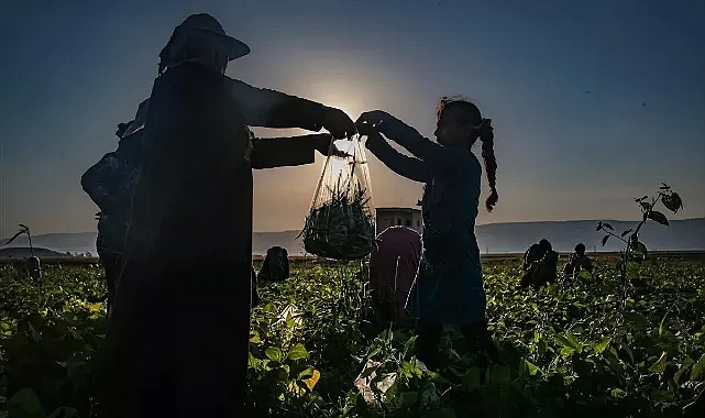 Destek ödemeleri bugün hesaplara aktarılıyor
