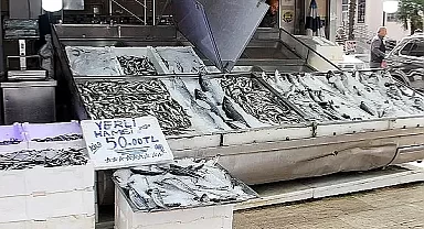 Hamsinin kilosu 50 liraya düştü