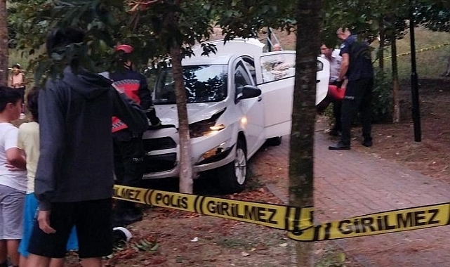 Merdivenlerden aşağı uçan otomobil ağaca çarptı: 2 yaralı