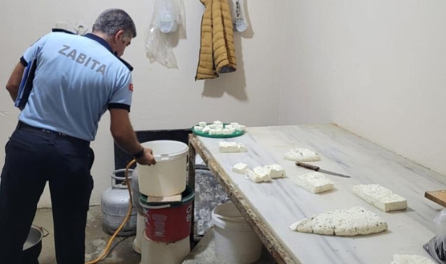 Peynir imalathanesinde şoke eden görüntüler