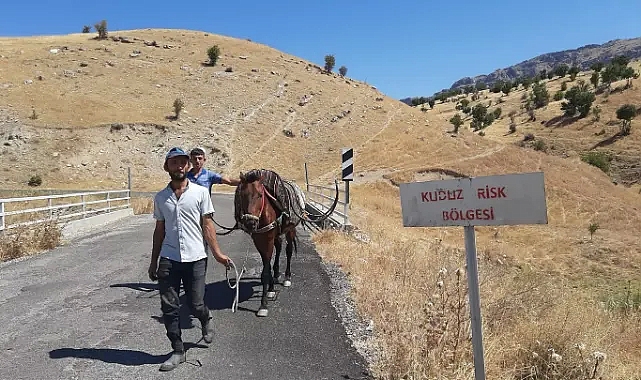 Sahibini ısıran at kuduz çıktı, köy karantinaya alındı