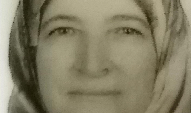 Tarlada çalışırken arının soktuğu kadın hayatını kaybetti
