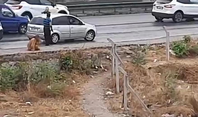 Tartıştığı kadını kemerle darp etti... O anlar kamerada