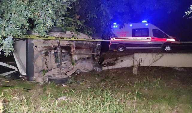 Bursa’da yola fırlayan domuza çarpan araç zeytinliğe uçtu: 2 ölü