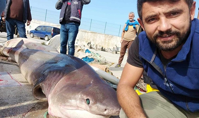 Jaws'la özçekim...