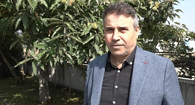 Kestane hasadına başlandı