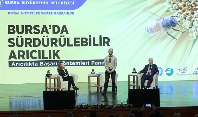 Arıcılıkta başarı yöntemleri