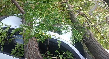 Bursa’da şiddetli rüzgar hayatı felç etti