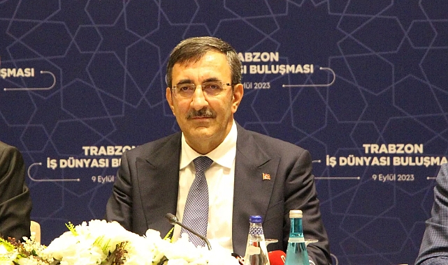 Cumhurbaşkanı Yardımcısı Yılmaz: Türkiye hakkını, hukukunu başkalarına çiğnetmeyecek