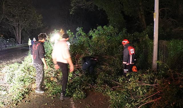 Fırtına, Sakarya’nın turistik ilçesini yıktı geçti
