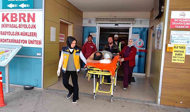 Köpeğin saldırdığı inşaat işçisi yaralandı