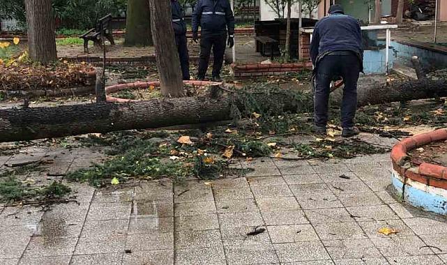 Osmangazi'de lodos mesaisi