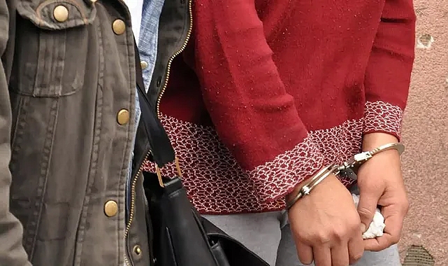 Suç dizileri ve belgeselleri izleyip 'meraktan' cinayet işledi