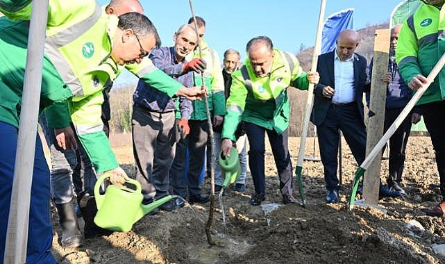 Bursa Büyükşehir'den kestane üretimine destek