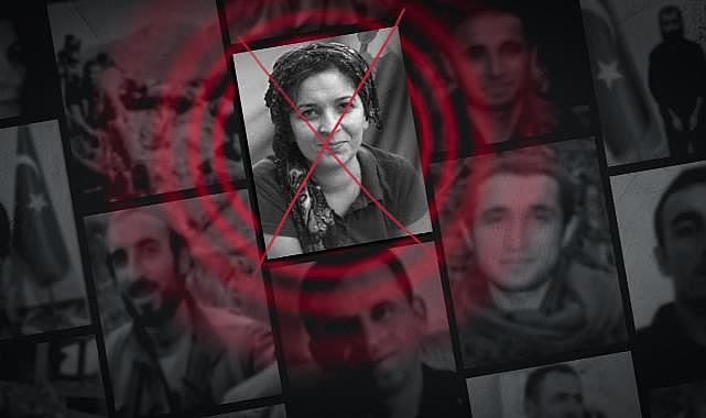 MİT'ten Kamışlı'ya nokta operasyon