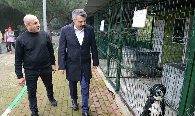 Yıldırım'da can dostlara şefkat eli