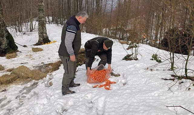 Bursa'da yaban hayvanlarına yem desteği