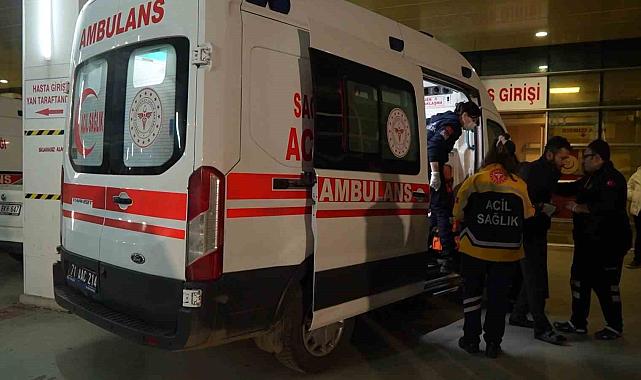 Kırıkkale'de başıboş köpek dehşeti: Saldırıya uğrayan vatandaş yaralandı