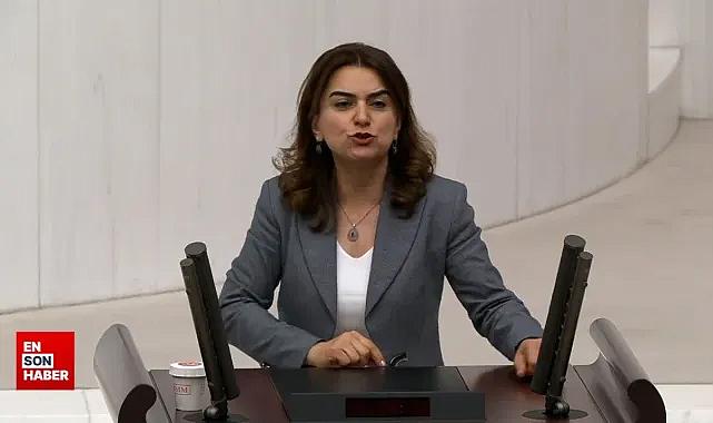 TBMM Genel Kurulu'nda 'Kürdistan' tartışması: DEM Parti Grup Başkanvekili Koçyiğit'in sözleri tepki çekti