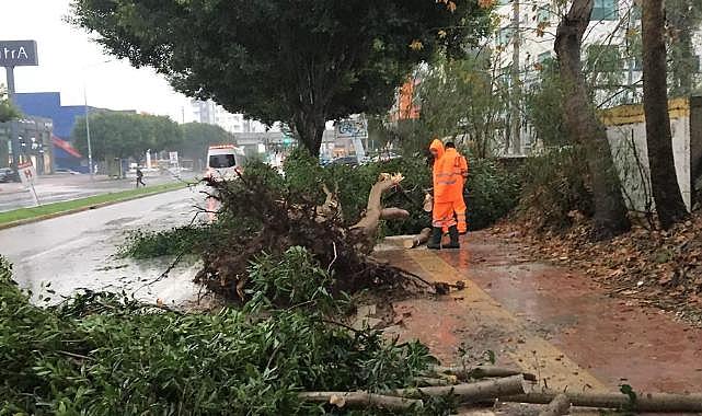 Antalya'da sel: 1 kişi hayatını kaybetti