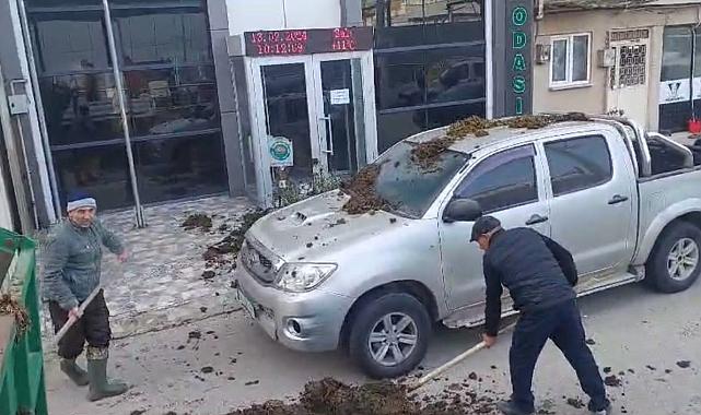CHP'nin belediye başkan adayına dışkı şoku