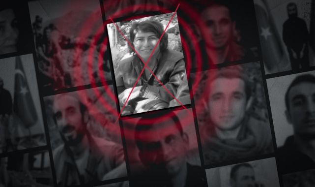 MİT'ten Kamışlı'da nokta operasyonu