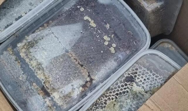TIR'ın içine gizlenmiş yarım tondan fazla bal, pekmez, kuru gıda bulundu: 'Akrabalara götürmek için'