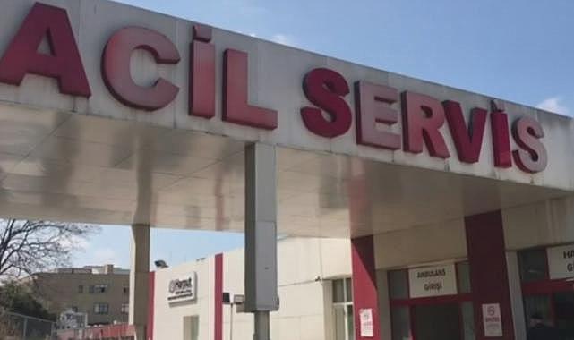 Bursa'da köpekler 2 çocuğu ısırdı!