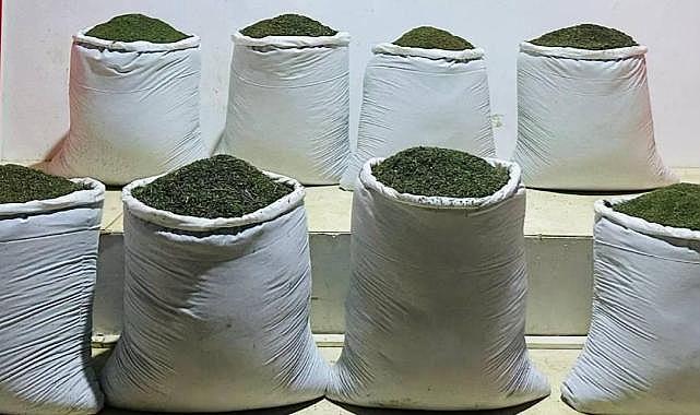 Diyarbakır'da 169 kilogram esrar ele geçirildi
