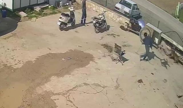 İzmir'de köpeğe hortumlu, sandalyeli ve kürekli saldırı kamerada