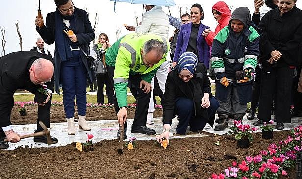 Kadınlar Günü'nde erguvan fidanları toprakla buluştu
